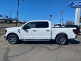 New 2025 Ford F150 XLT w/ Equipment Group 301A Standard image 3