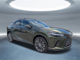 New 2025 Lexus RX 350 Premium Plus w/ Accessory Package (Z1) image 2