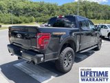 New 2025 Ford F150 Tremor image 5