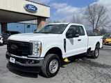 New 2025 Ford F250 XL w/ XL Chrome Package image 2