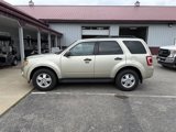 Used 2011 Ford Escape XLT image 3