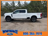 New 2025 Ford F250 Platinum image 3