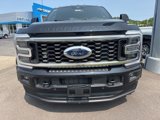 New 2025 Ford F450 Platinum image 3