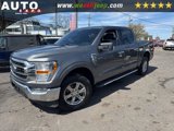 Used 2021 Ford F150 XLT w/ Equipment Group 301A Mid image 3