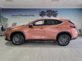 Used 2025 Lexus NX 250 FWD w/ Premium Package image 2