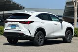 New 2025 Lexus NX 250 AWD w/ Premium Package image 4