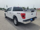 Used 2023 Ford F150 XLT image 6