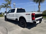 New 2025 Ford F250 Platinum image 3
