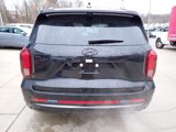 New 2025 Hyundai Palisade Calligraphy image 3