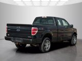 Used 2014 Ford F150 STX w/ Equipment Group 201A Mid image 5