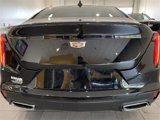 Certified 2024 Cadillac CT4 Premium Luxury w/ Climate Package image 5