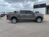New 2025 Ford F150 Platinum w/ Equipment Group 703A Plus image 4