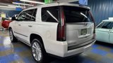 Used 2019 Cadillac Escalade Premium Luxury image 4