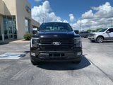New 2025 Ford F150 Platinum w/ Equipment Group 702A High image 2