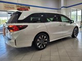 New 2025 Honda Odyssey Elite image 4