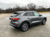 New 2025 Ford Escape SE w/ PHEV Premium Package image 4