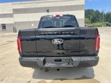 New 2025 Ford F150 Platinum w/ Equipment Group 702A High image 5