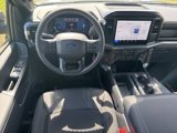New 2025 Ford F150 STX w/ Equipment Group 200A image 3