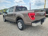 Used 2022 Ford F150 XLT w/ Equipment Group 301A Mid image 6