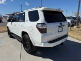 Used 2023 Toyota 4Runner SR5 Premium image 5