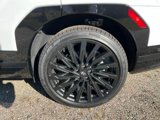 New 2025 Hyundai Santa Fe Calligraphy image 5