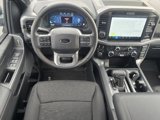 New 2025 Ford F150 XLT image 5