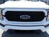 Certified 2023 Ford F150 XL w/ STX Appearance Package image 3