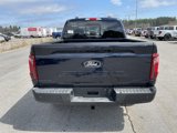 New 2025 Ford F150 XLT image 5