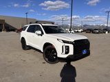 New 2025 Hyundai Palisade XRT image 3