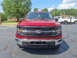 New 2025 Ford F150 XLT w/ Equipment Group 301A Standard image 2