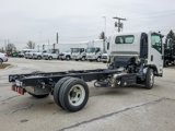 New 2025 Chevrolet Low Cab Forward 5500 XD image 3