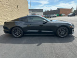 Used 2021 Ford Mustang GT Premium w/ GT Performance Package image 6