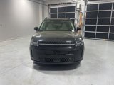 New 2025 Hyundai Santa Fe Calligraphy image 2