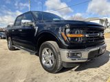 New 2025 Ford F150 XLT w/ Equipment Group 302A MID image 4