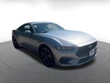 Used 2024 Ford Mustang Premium image 3