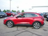 Certified 2024 Ford Escape Platinum w/ Premium Technology Package image 4