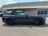 Used 2024 Ford Mustang GT Premium w/ Mustang Nite Pony Package image 4