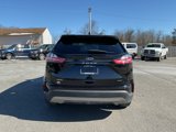 Used 2024 Ford Edge SEL image 5