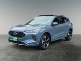 Used 2024 Ford Escape ST-Line Elite w/ Premium Technology Package image 3