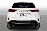New 2026 Lexus NX 350 AWD w/ Premium Package image 4