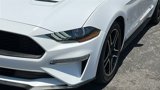 Certified 2023 Ford Mustang Premium image 4