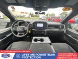 Certified 2023 Ford F150 XL w/ XL STX Apperance Package image 5