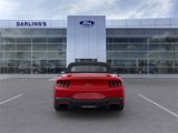 New 2025 Ford Mustang GT Premium image 5