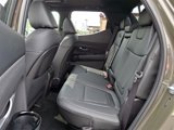 New 2025 Hyundai Santa Cruz Limited image 5
