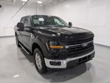 New 2025 Ford F150 XLT w/ Equipment Group 301A Standard image 6