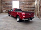Used 2010 Ford F150 XLT image 5