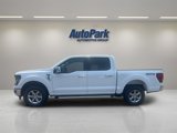 New 2025 Ford F150 XLT w/ Equipment Group 302A MID image 3