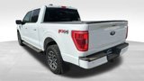 Used 2023 Ford F150 XLT w/ Equipment Group 302A High image 3