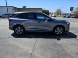 Used 2024 Ford Escape ST-Line image 2
