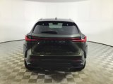 Used 2023 Lexus NX 250 FWD w/ Premium Package image 6